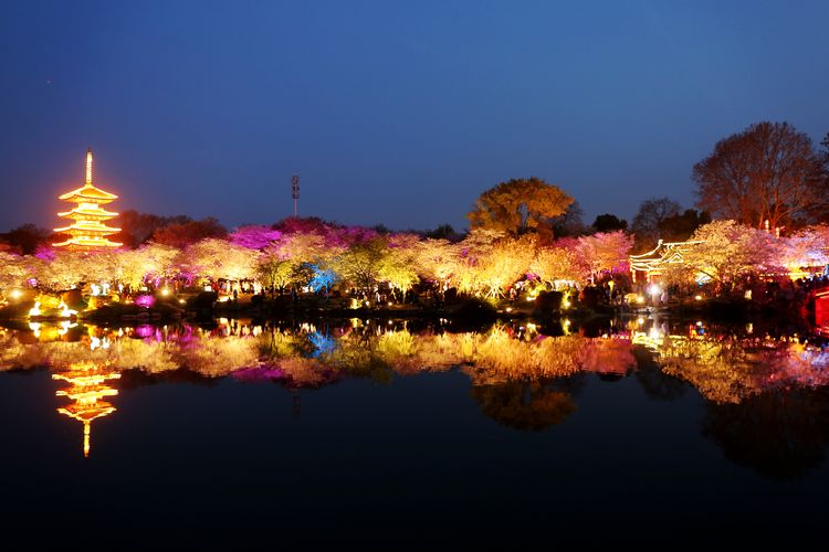 鑻遍泟褰掓潵妯辫姳鏈夌害,妯辫姳鐩涘紑鑻遍泟褰掓潵瀹屾暣瑙嗛