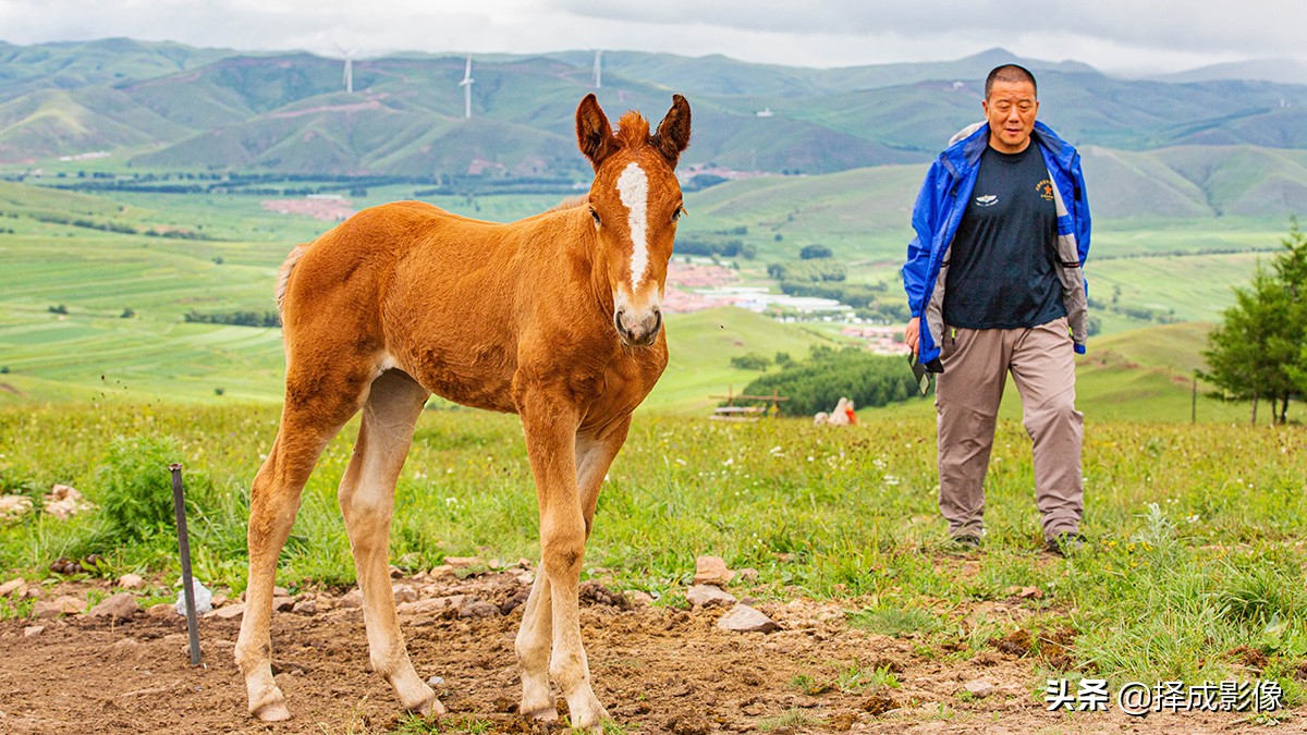 中国十大最美公路张北,张北草原天路路线图高清版大图