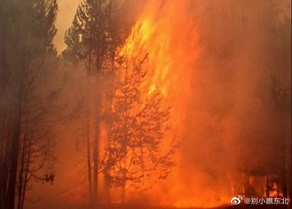 黑龙江省漠河度假避暑胜地,黑龙江漠河旅游风景区夏天多少度