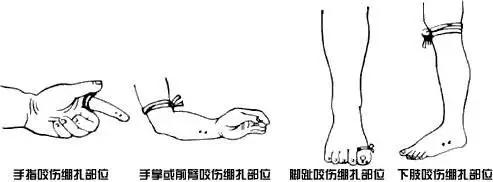 家周围频繁出现蛇是什么预兆,家附近老是有蛇怎样驱赶