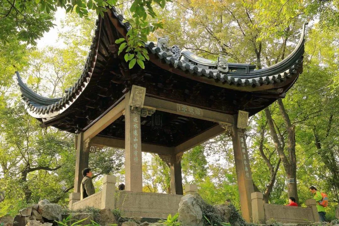 鑻忓窞鍥灄vs鏉窞瑗挎箹,鏉窞瑗挎箹vs鑻忓窞鍥灄