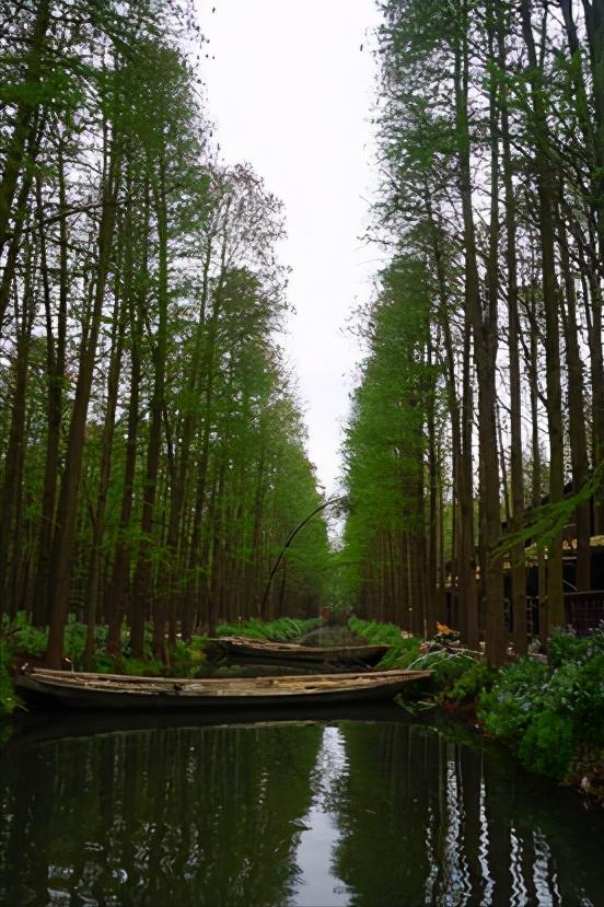 江苏省泰州市区域划分图,江苏泰州市属于华南还是华东