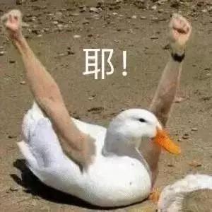 如果在天猫旗舰店发现假货怎么办,天猫旗舰店的真假怎么辨别