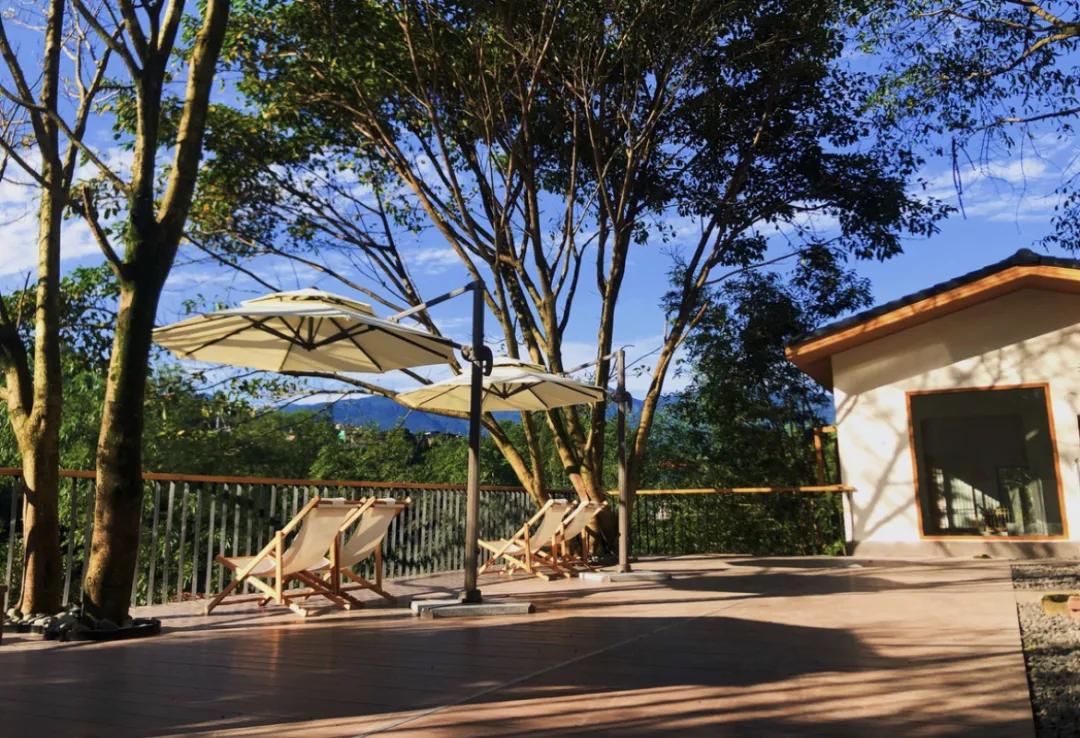 如何诗意的度过初冬？我在雅安这些私藏美宿里找到了答案