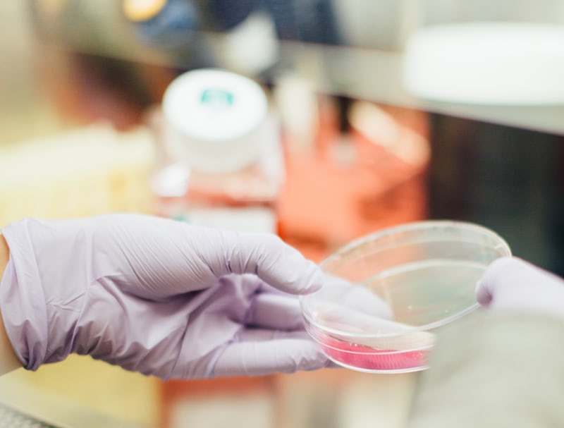 干扰素跟吃药治愈乙肝的几率,干扰素治疗有副作用吗