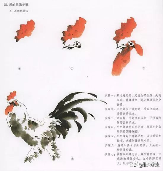 梁桂霖国画孔雀的画法视频,孔雀眼睛画法国画