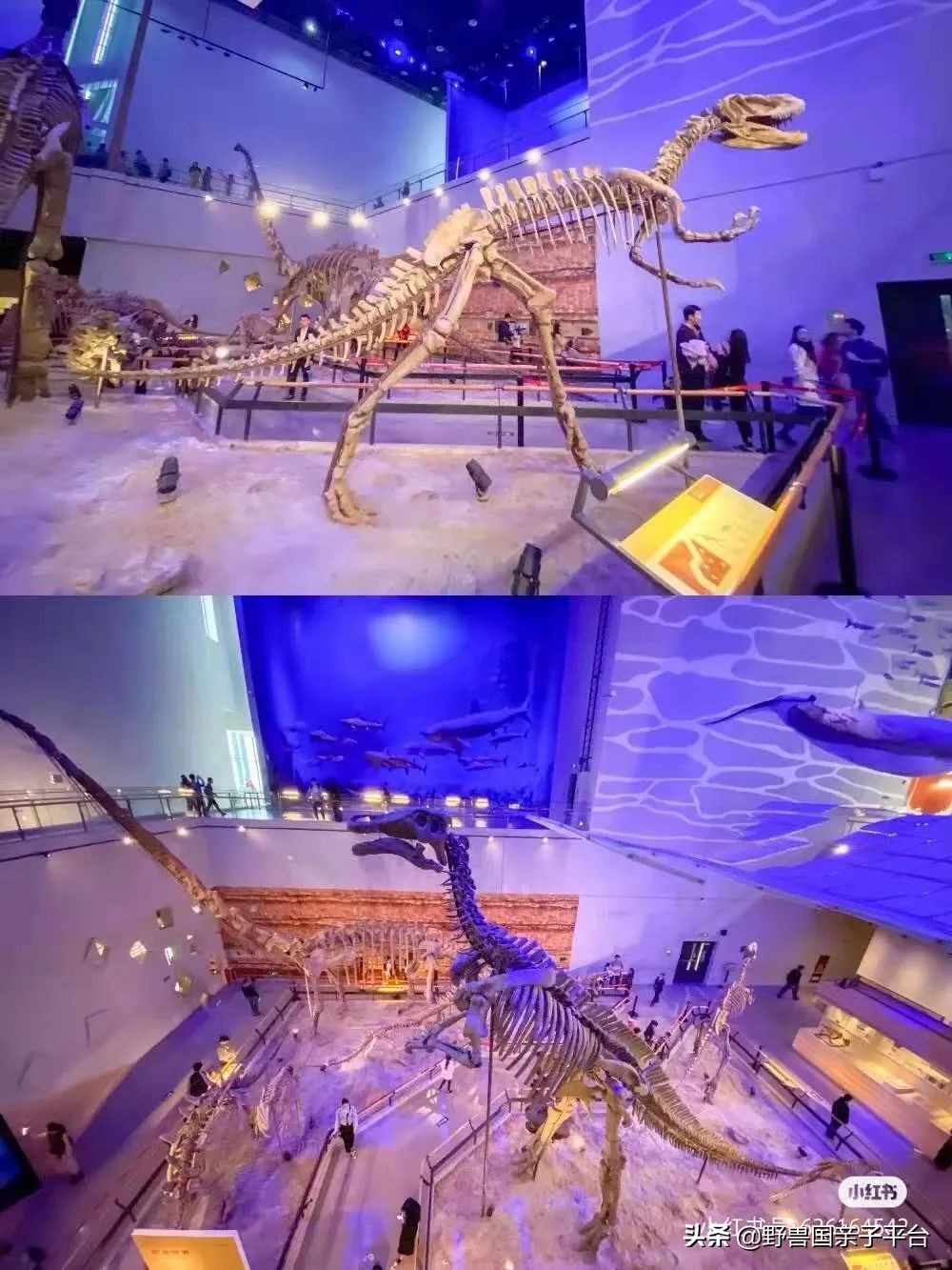 广州遛娃旅游推荐路线攻略,广州遛娃清单升级版