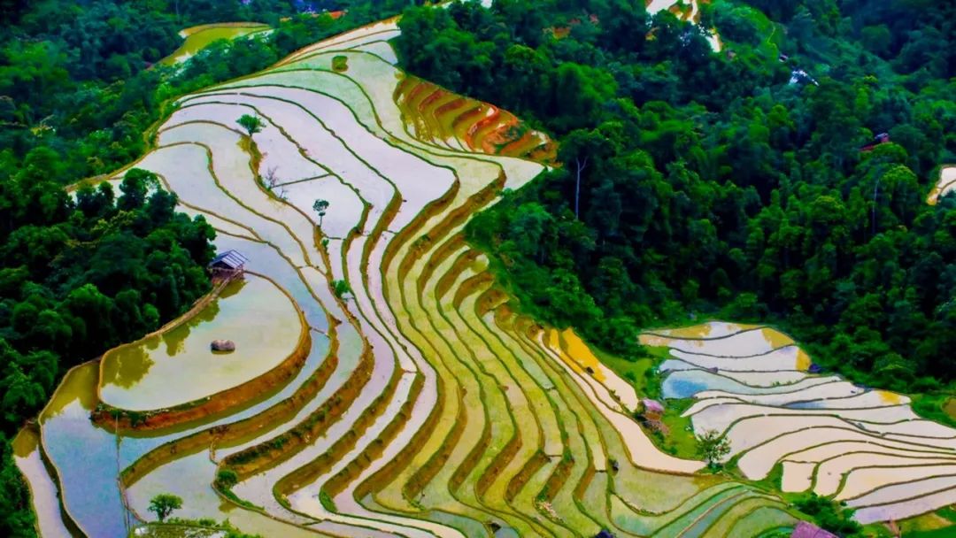 一起领略园林的美,诠释园林之美