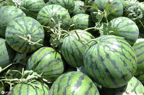 多大的肾结石需要做手术？除了多喝水，这些方法也能帮助排出结石