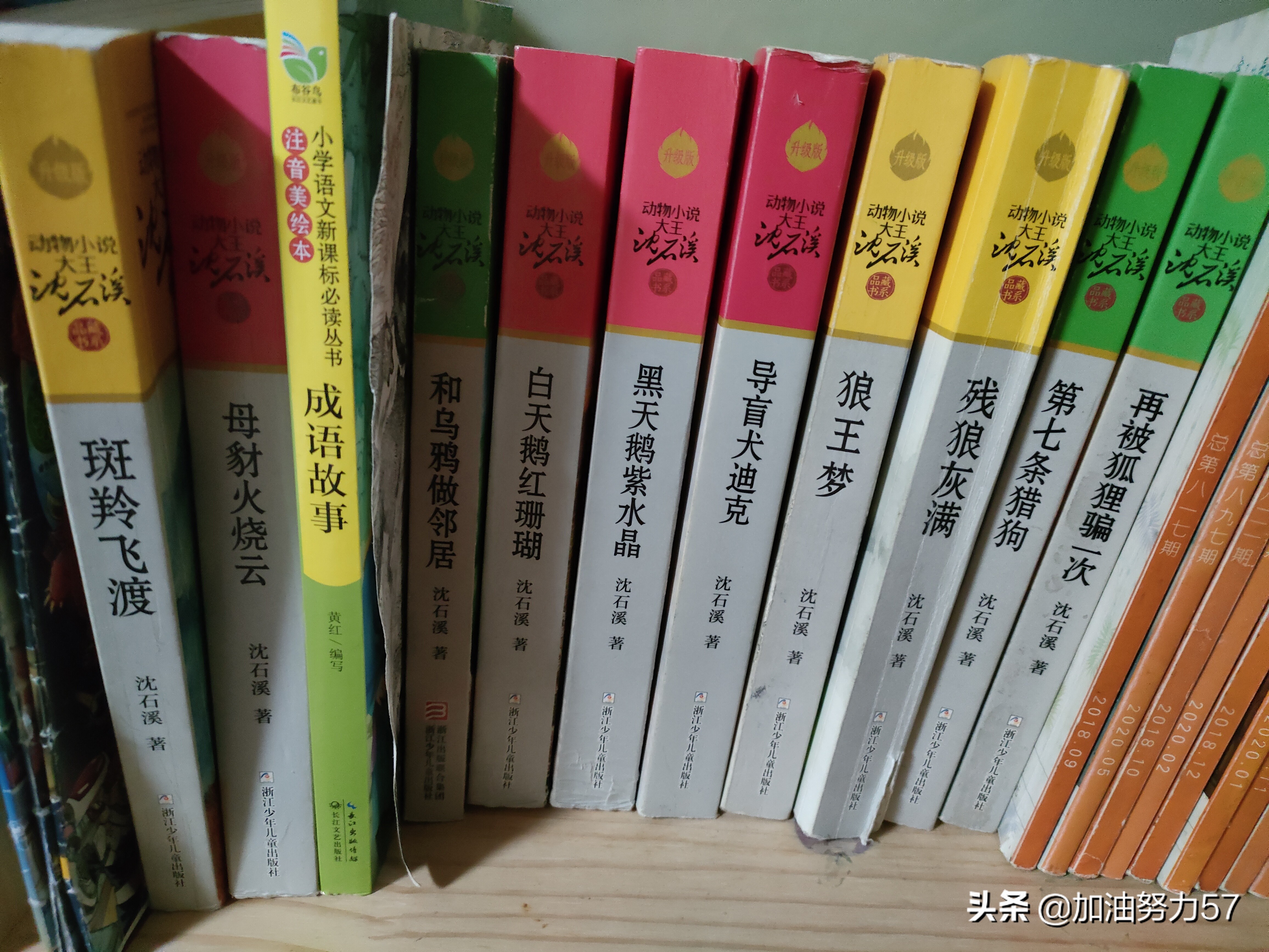 比较有名的童书推荐,中国童书榜为孩子推荐最佳童书