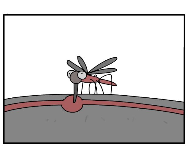 灭蟑螂最好的方法一招解决,蟑螂怎么灭杀最好方法