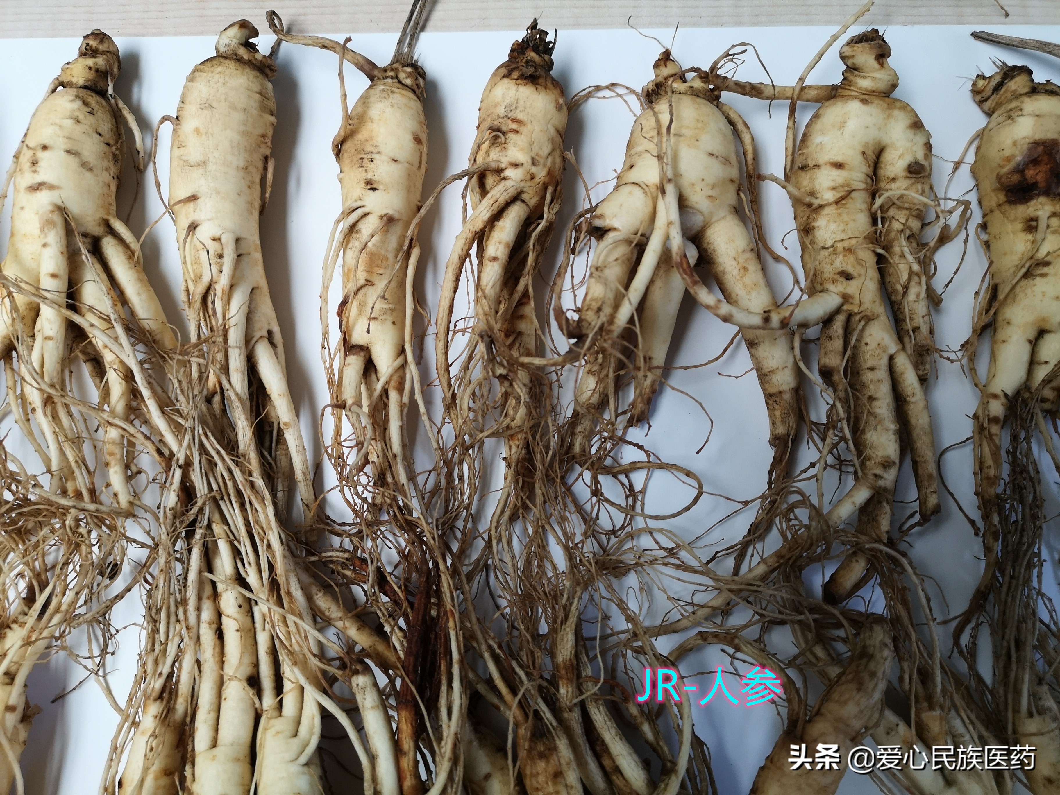 铁皮石斛西洋参鹿茸红参怎么吃,红参跟西洋参铁皮石斛能一起吃吗