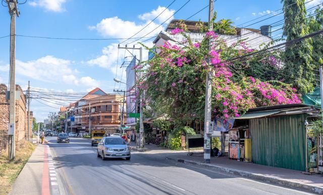 去泰国旅游步骤攻略大全,泰国旅游流程详细攻略