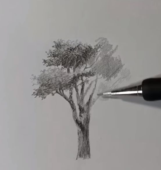 素描风景画基础教学,素描画法风景基础教程