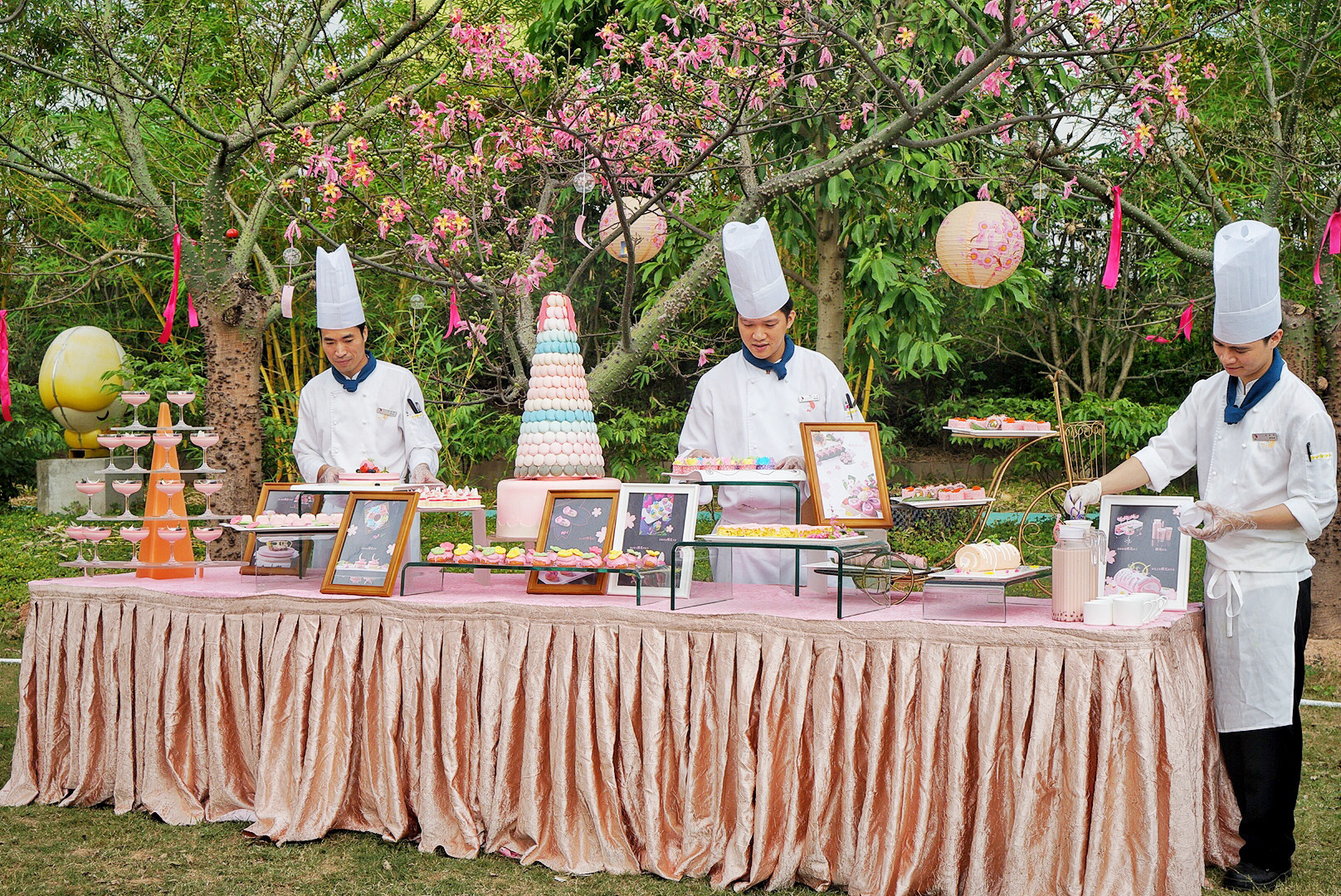 广州粉色浪漫花海,广东秋天粉色花海