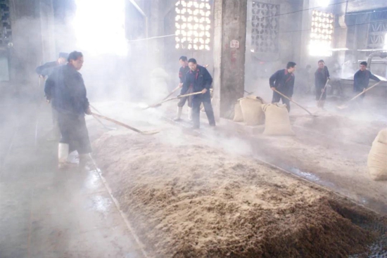寻香悟道，再启新篇：河南知名大商走进宋河酒业