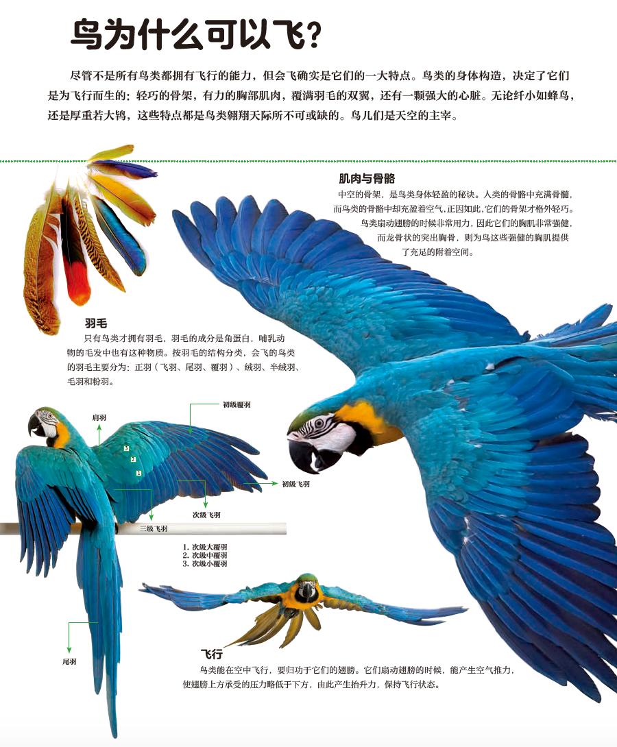 100种动物的怪异行为,32种稀奇古怪的动物