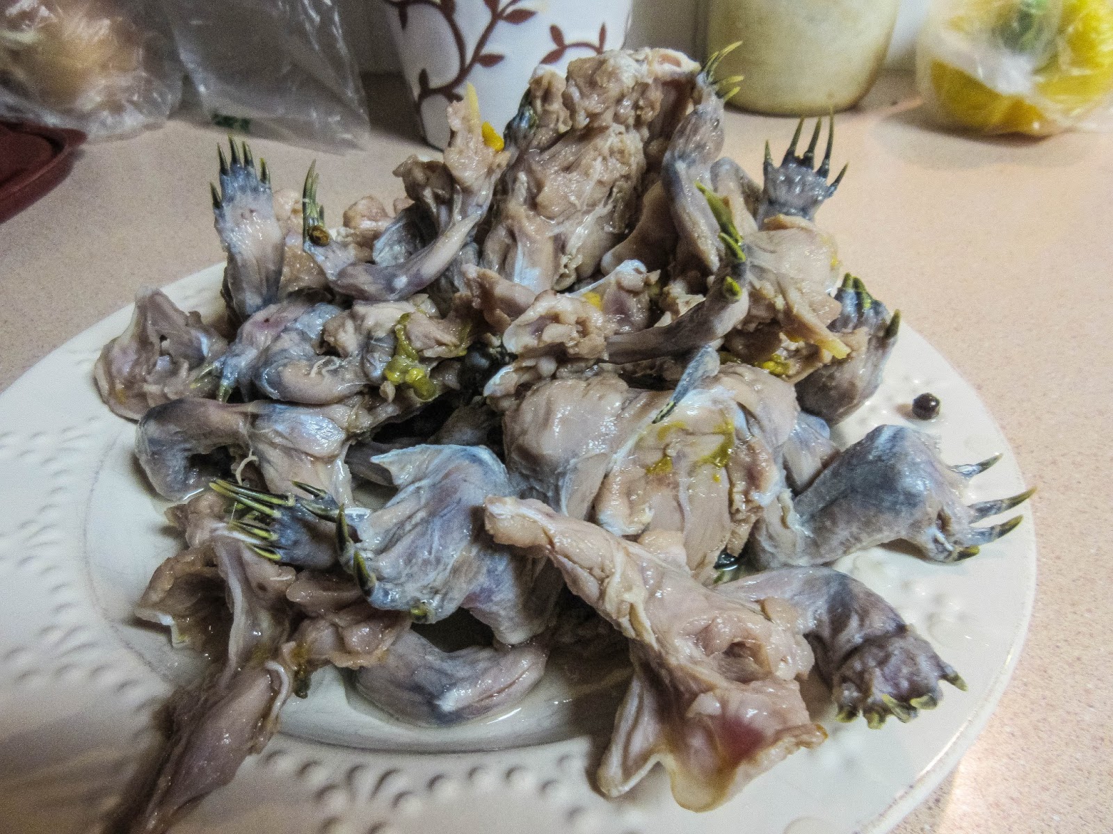 巴西龟的正确放生方法,巴西龟放生违法案例