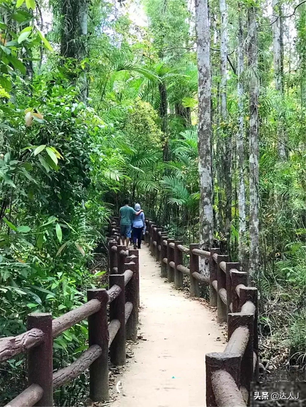 跟着小宇游日本,跟着小天玩游戏