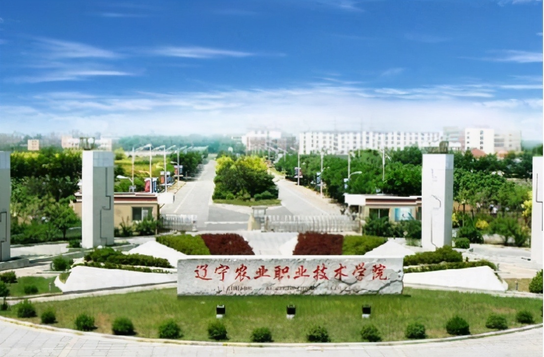 高考成绩只够专科需要填本科志愿,辽宁专科就业率高的学校