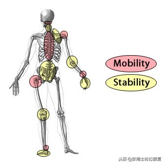 踝关节伸展性训练方法,踝关节灵活性训练