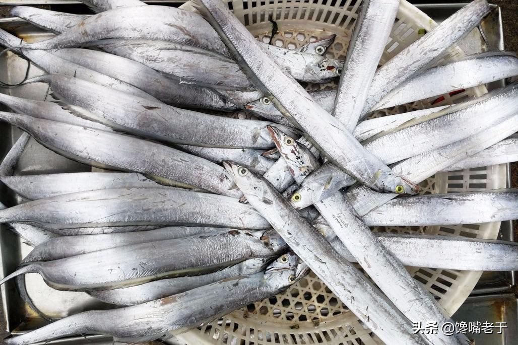 买海鲜必知道的事情,买海鲜需要掌握哪些知识