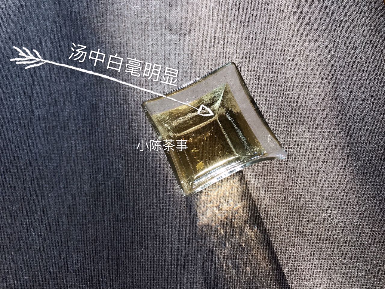 白茶的正确冲泡方法用飘逸杯吗,压饼白茶飘逸杯正确冲泡方法