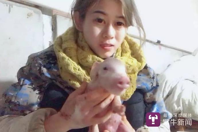 女孩养猪做宠物,女孩养猪十年