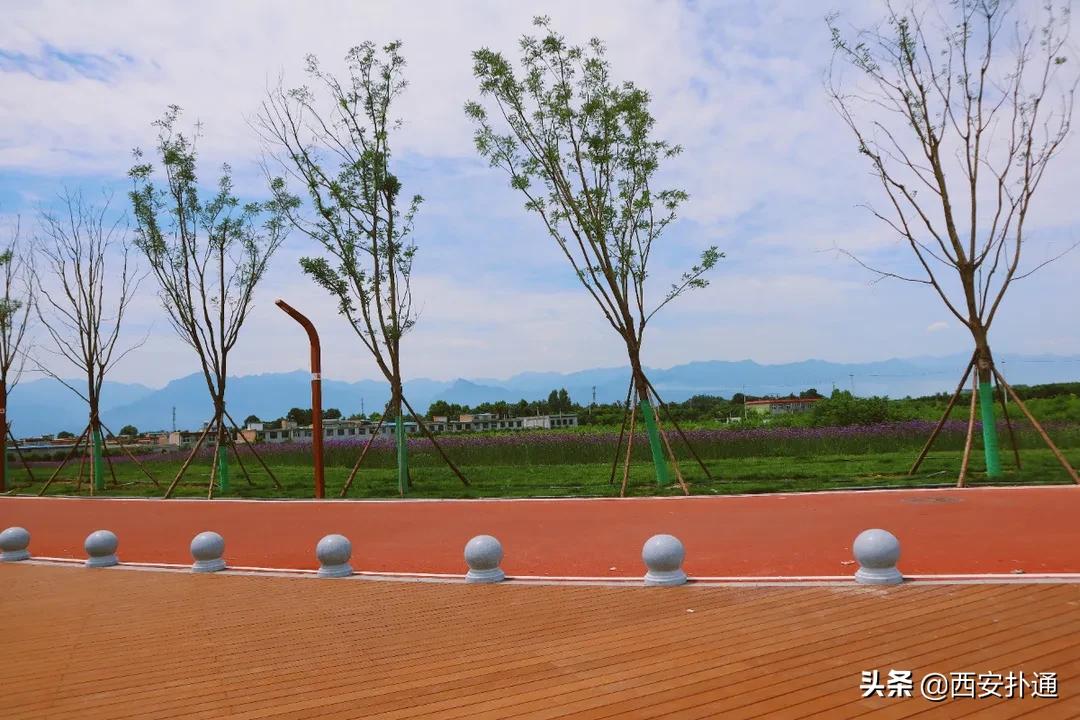 西安大草坪公园推荐,西安有大草坪的公园