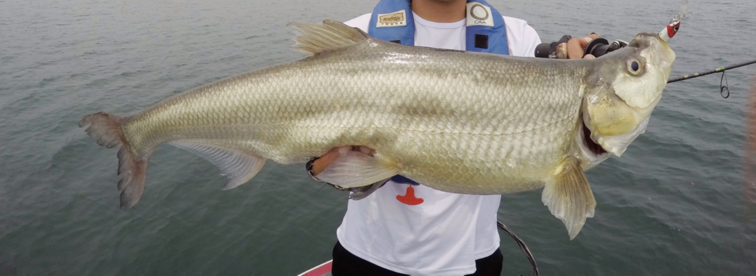 自己钓了大鱼怎么使用抄网,没抄网怎么办