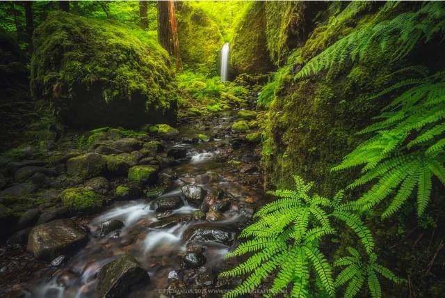 广角为什么画质那么差,广角太卡怎么办