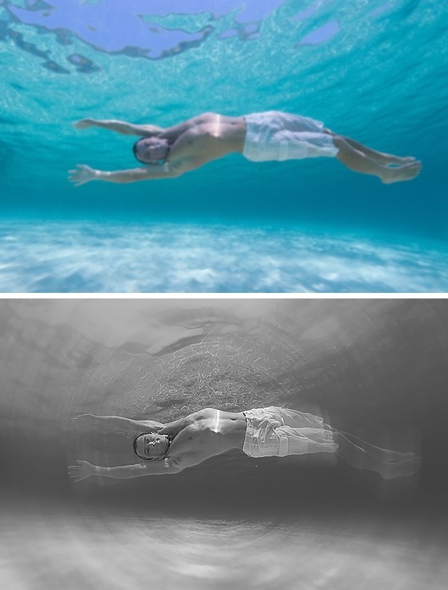 什么动物视力模糊不清,视力与人类一样的动物