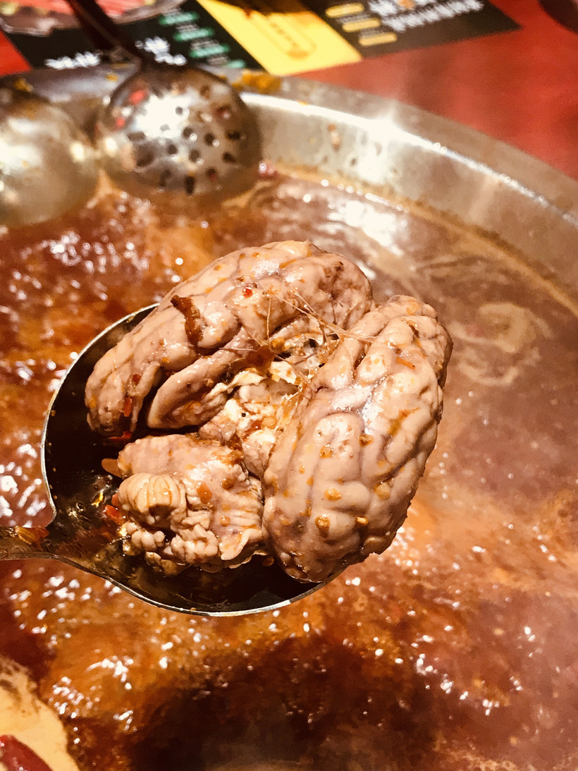 谢霆锋成都打卡百年老店,谢霆锋打卡上海网红店