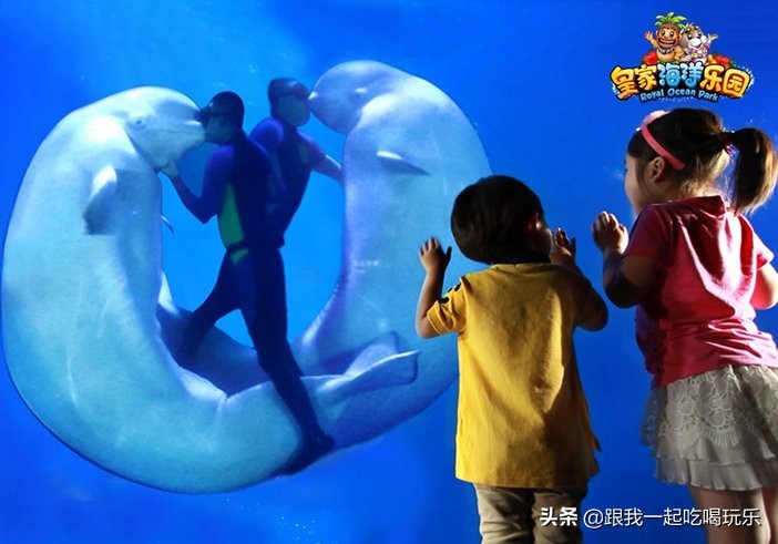 抚顺海洋馆外面有什么,沈阳和抚顺哪个海洋馆比较好