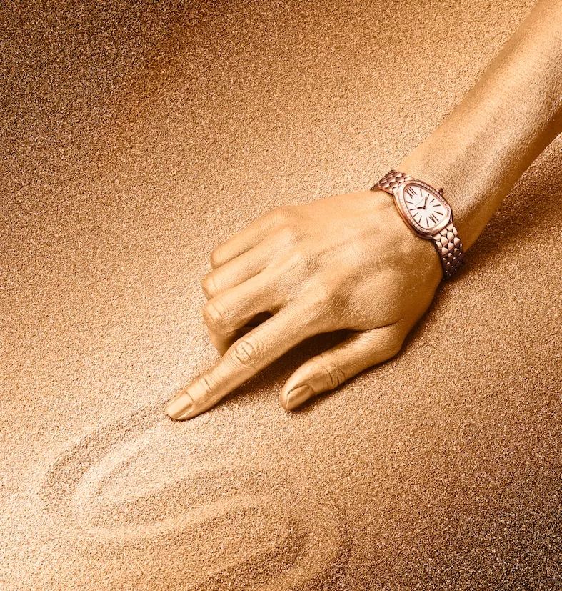 时尚手表水鬼鹦鹉螺,鹦鹉螺样式腕表