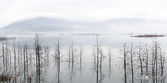 常熟记忆,常熟记忆40年