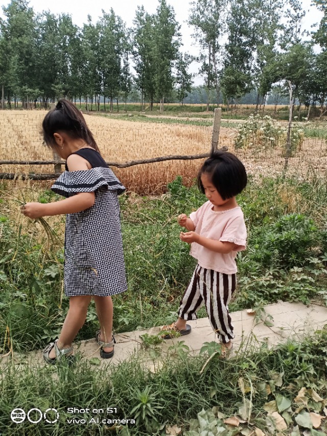 婆婆摔烂女儿下巴，公公来我家指了指猪头肉，我砰一下摔倒在地