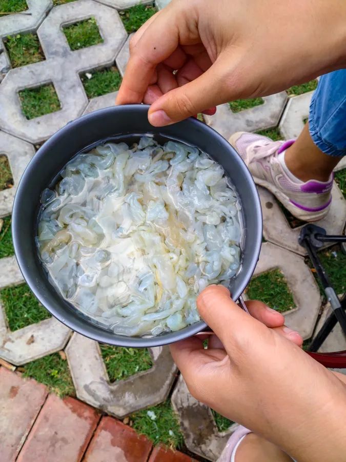 旅行是为了感受不一样的人生百态,旅行最好的状态就是不问归期