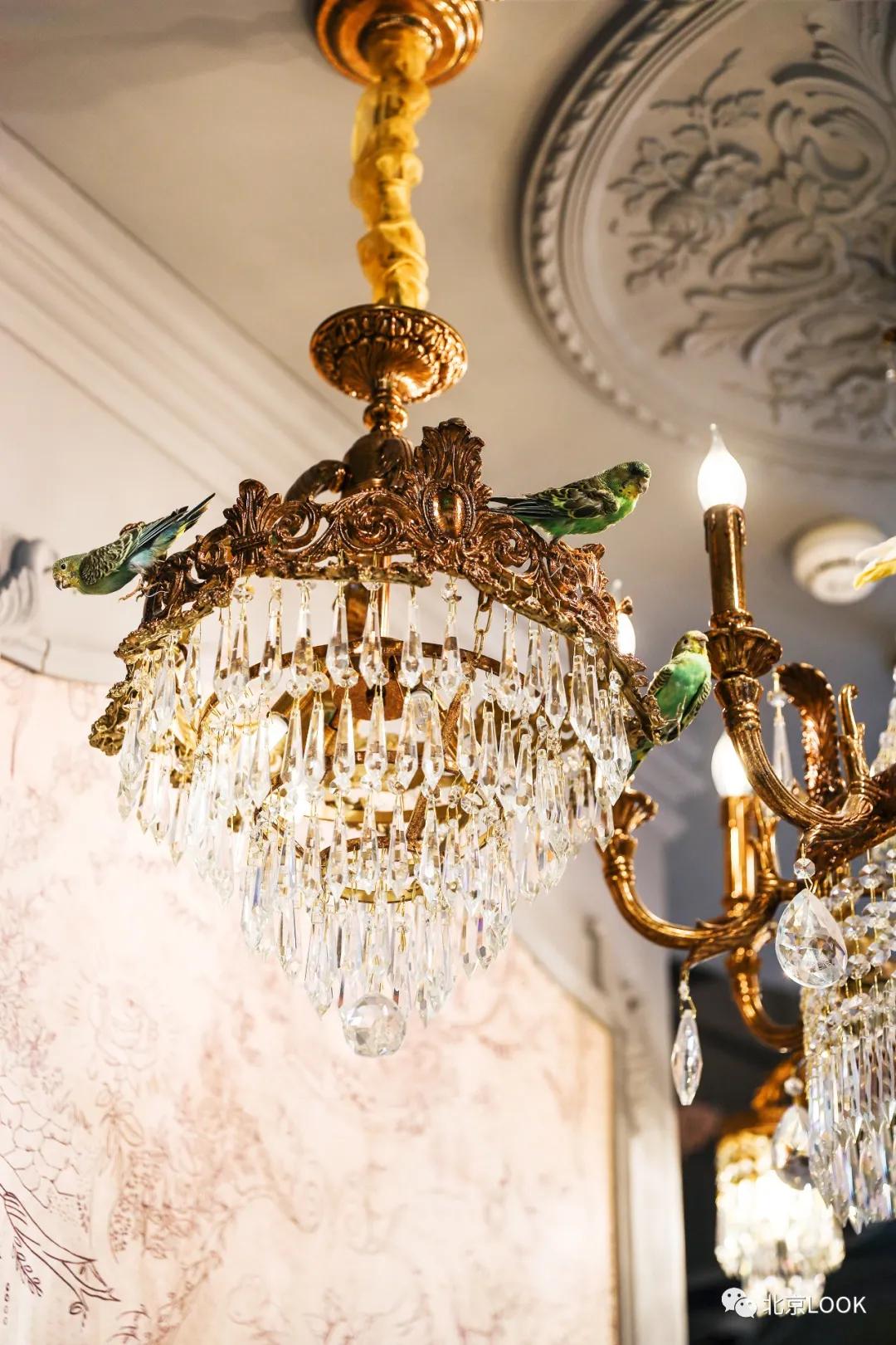 30+大牌新店·已加入“天街星系”|北京LOOK