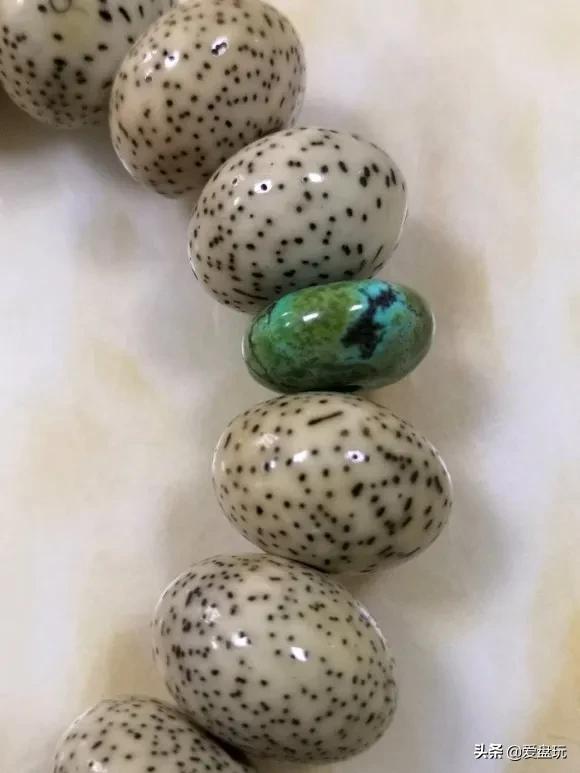 星月盘多久可开片,星月盘了几年都不开片