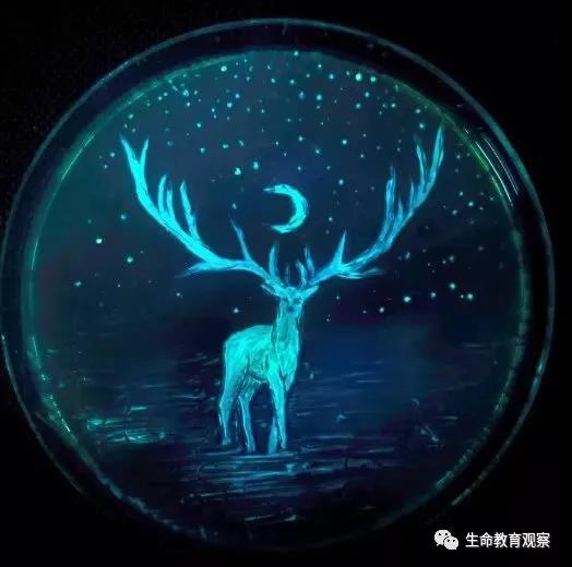 理科男喜欢的七夕礼物,理科男的送的礼物