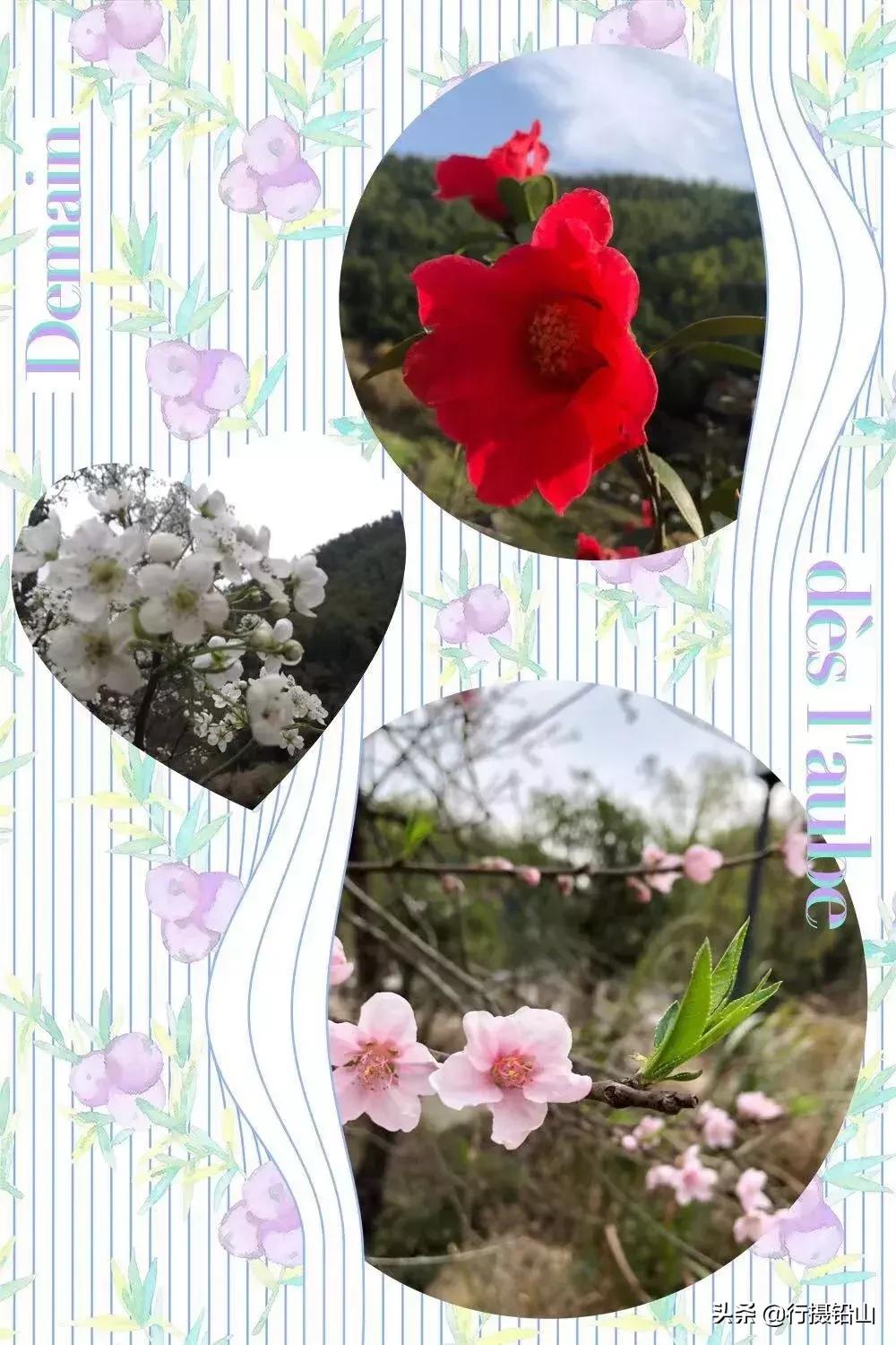 春游|五府山踏青蜜蜂谷