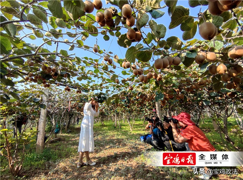 宝鸡县域经济高质量发展论坛,宝鸡市各县2019经济状况