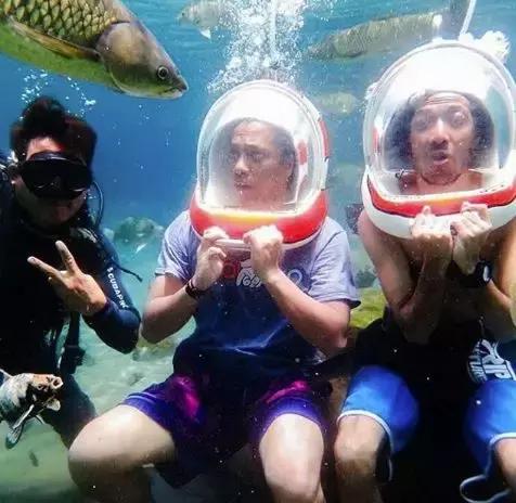 乡下小池塘,乡村里面的小池塘