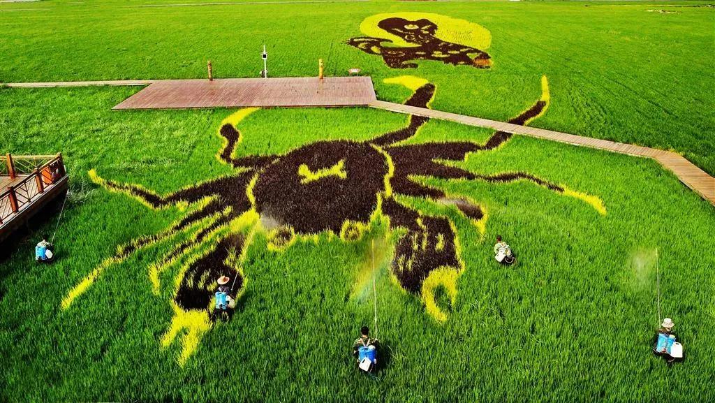 盘锦情书完整版,盘锦情书最新版