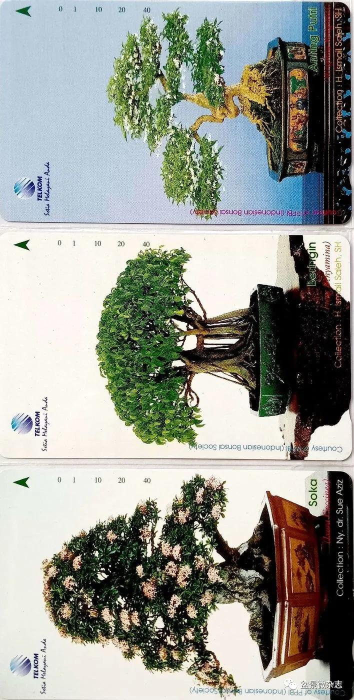 鐩嗘櫙鑱旂郴鐢佃瘽鍙风爜,涓鐩嗘櫙鑱旂郴鏂瑰紡