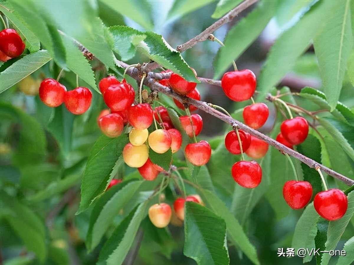 农村80后才看得懂的图和知道的经历