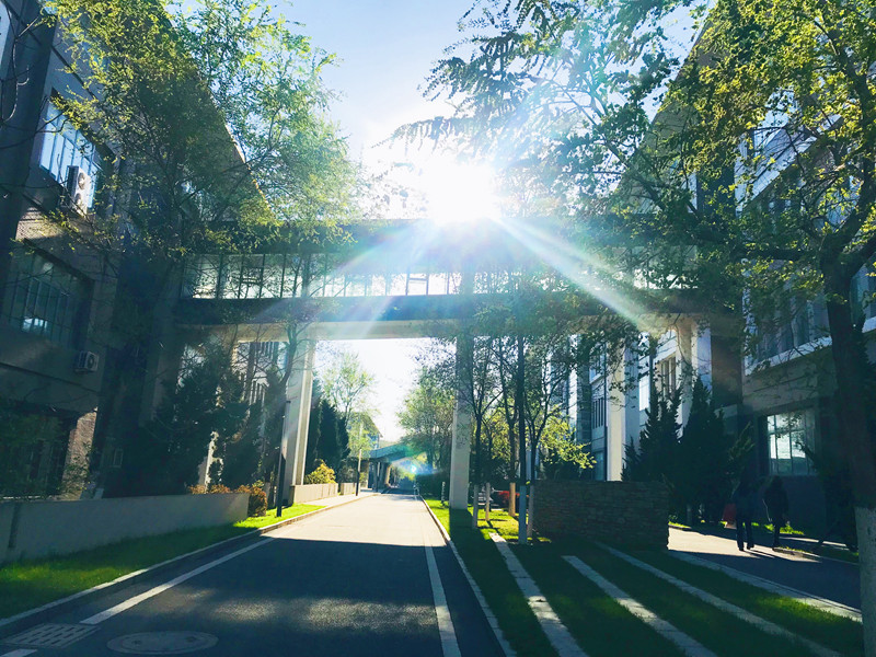 中高分段值得重点关注的医科大学——大连医科大学