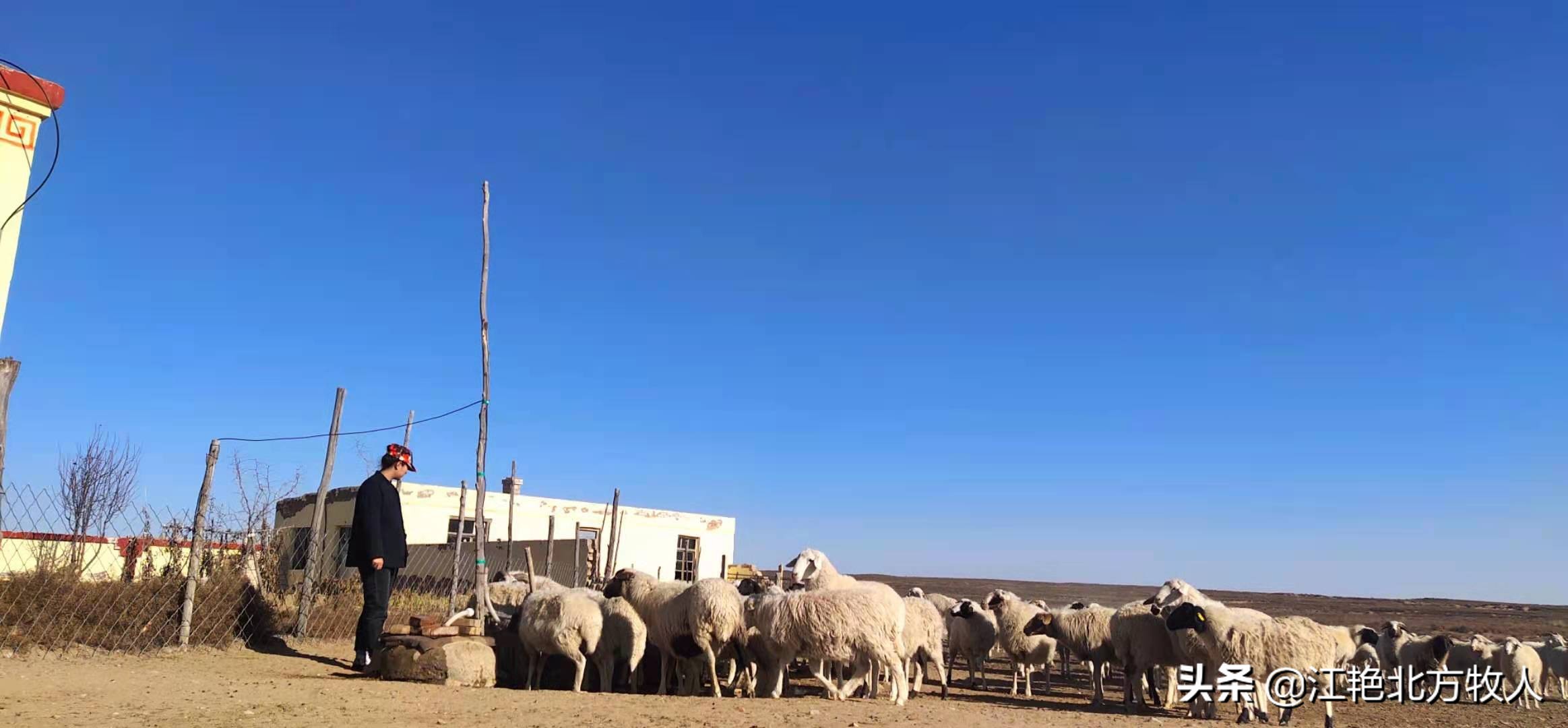 靠养殖到底能不能致富?江艳实话实说,再听听她的致富经