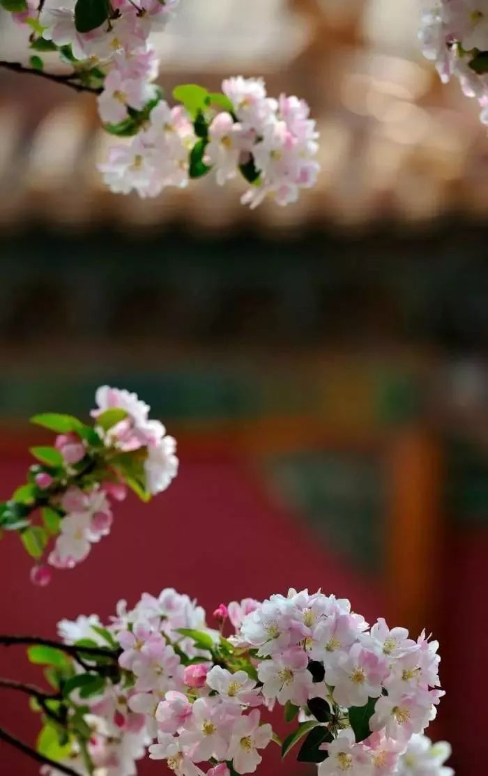 破阵子辛弃疾表达了作者什么感情,辛弃疾送别友人的片段